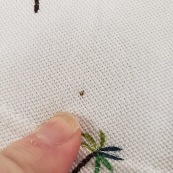 Scotch & Soda Mens Palm Tree Polo Size XXL White Short Sleeve Collar Buttons - Picture 12 of 14